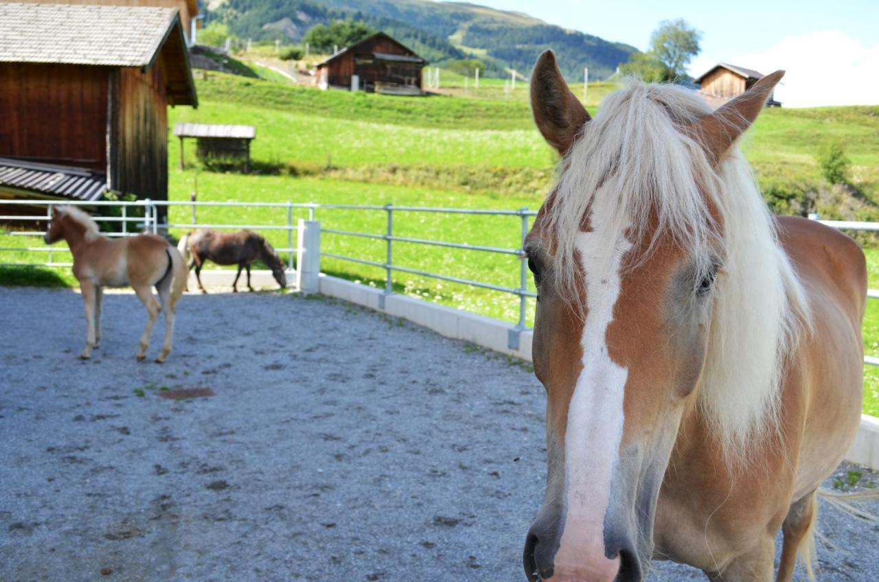 Vakantieboerderij Poltehof Fiss